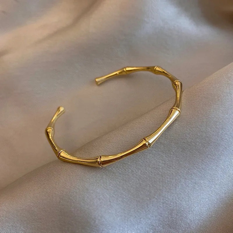Titanium Steel Gold Silver Color Bangles