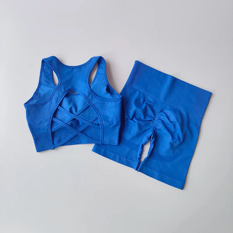 2 PCS Women's Seamless Yoga Set